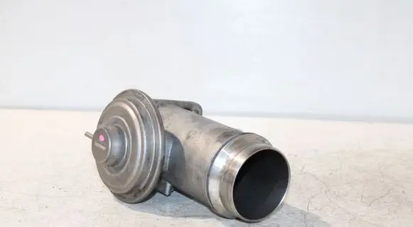 EGR valve