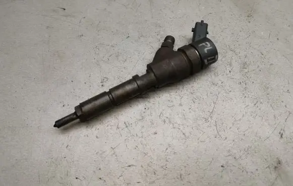 Peugeot 406 Fuel injector 0445110062 9640088780