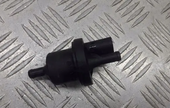 Volkswagen Fox Valve vacuum 0280142345