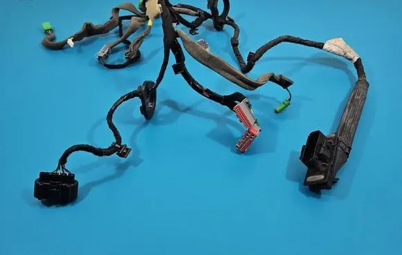 Front door wiring loom