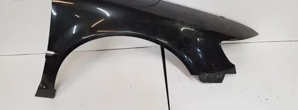 Volkswagen Phaeton Fender 3D0821253G