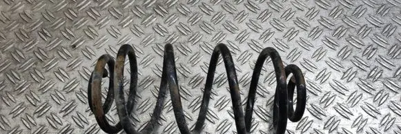 Rear coil spring