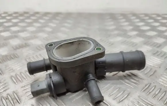 Thermostat/thermostat housing