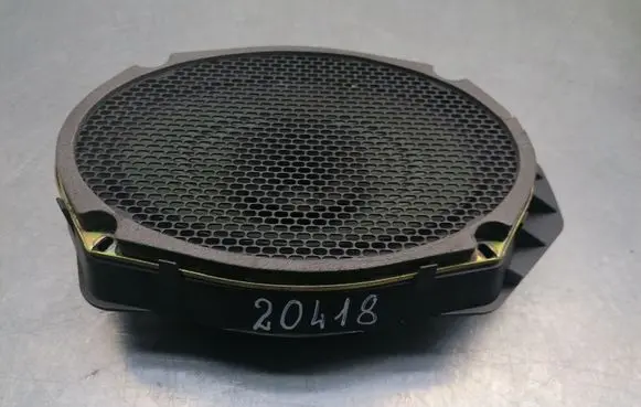 Front door speaker