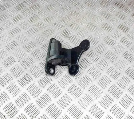 Rear door lower hinge