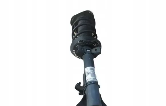 Mercedes-Benz E W212 Front shock absorber with coil spring A2123201138