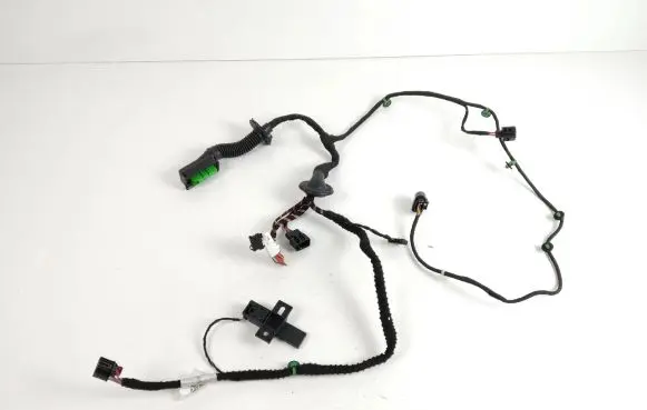 Rear door wiring loom