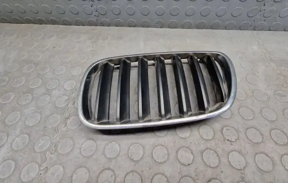 Front bumper upper radiator grill