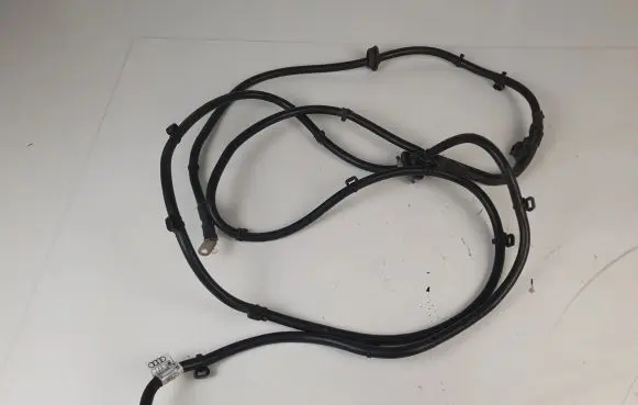 Audi Q5 SQ5 Negative earth cable (battery) 8R0971225G