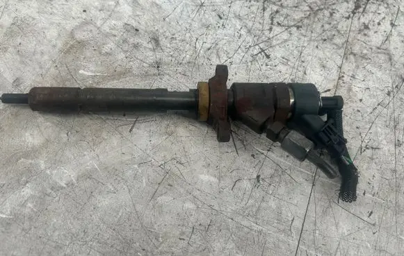 Ford Focus Fuel injector 0445110239