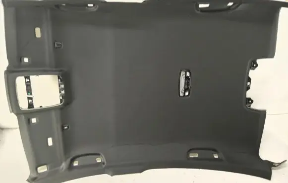 BMW 5 G30 G31 G38 Headlining 8065009