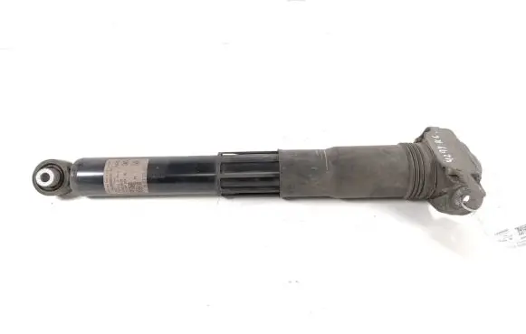 Volkswagen ID.4 Rear shock absorber/damper 1EA512013AS