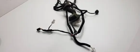 Hyundai Santa Fe Front door wiring loom 9182026022