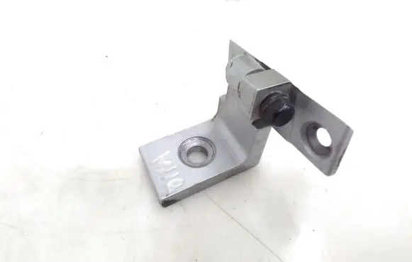 BMW X5 F15 Front door lower hinge 7325056