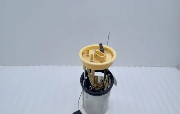 Volkswagen Touran II In-tank fuel pump 1T0919050F