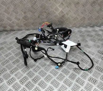 Tesla Model 3 Front door wiring loom 306795702C