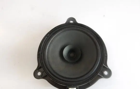 Front door speaker