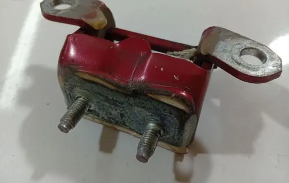 Rear door lower hinge