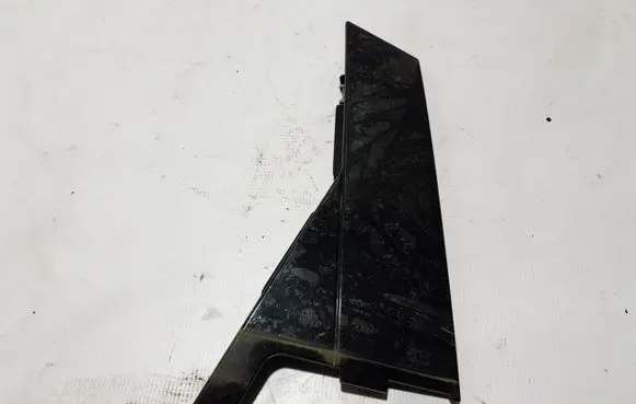 Rear door trim (molding)