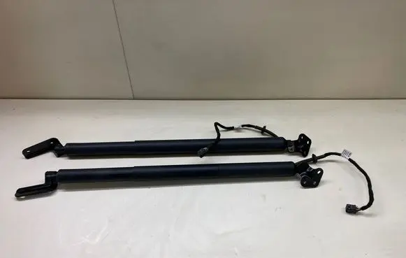 Tailgate/trunk strut/damper