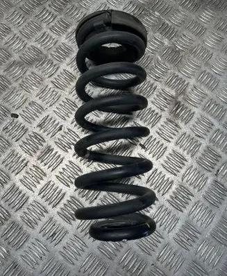 Rear coil spring