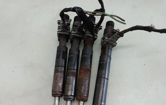 Ford Focus Fuel injector EJBR02201Z