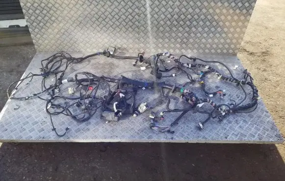 Ford Ranger Other wiring loom JB3T14290LC JB3T18812AEB