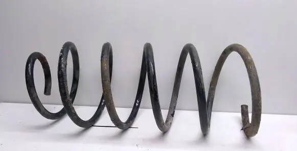 Front coil spring