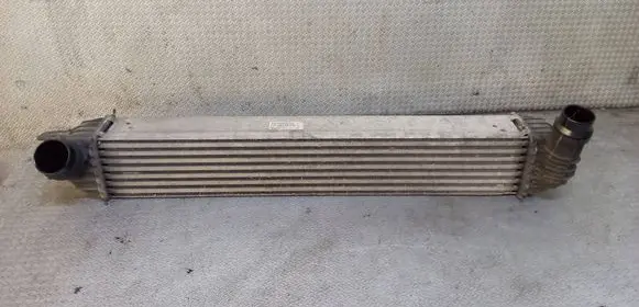 Renault Laguna III Intercooler radiator 144610001N
