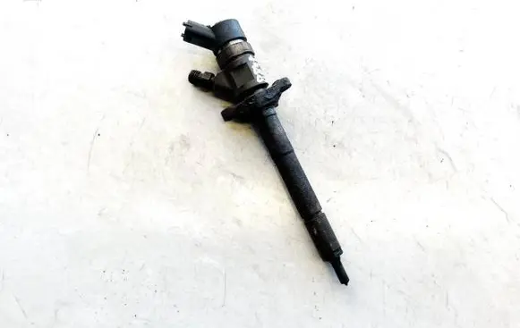 Ford Focus Fuel injector 04455110259 8870501553509