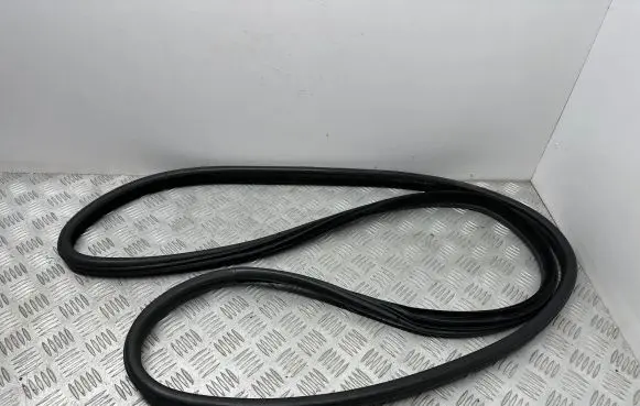 BMW X5 E70 Rubber seal front door window/glass 