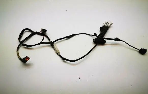 Rear door wiring loom