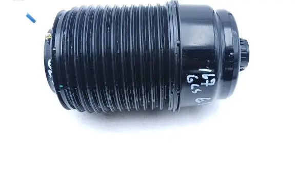 Rear air suspension bag/shock absorber