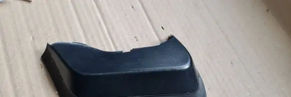 Rear/tail light trim molding