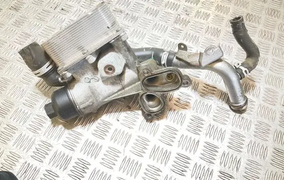 Renault Laguna III Oil filter mounting bracket 8200507878