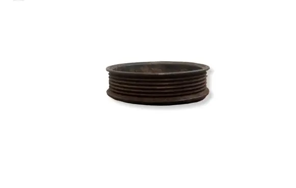 Volkswagen Golf IV Power steering pump pulley 030145269A
