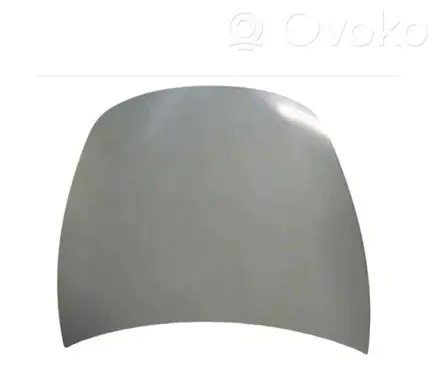 Tesla Model 3 Engine bonnet/hood 1081390-E0-C 1081390E0C 1081390