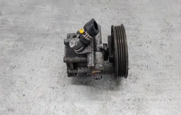 Fiat Doblo Power steering pump 7613955535