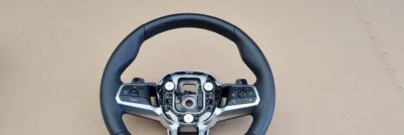 BMW X1 U11 Steering wheel 874764606