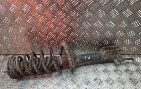 Hyundai Accent Rear shock absorber with coil spring 