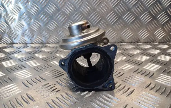 Volkswagen Golf V EGR valve 038129637D 038131501AN