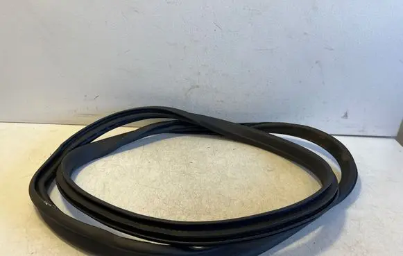 BMW i4 Front door rubber seal 