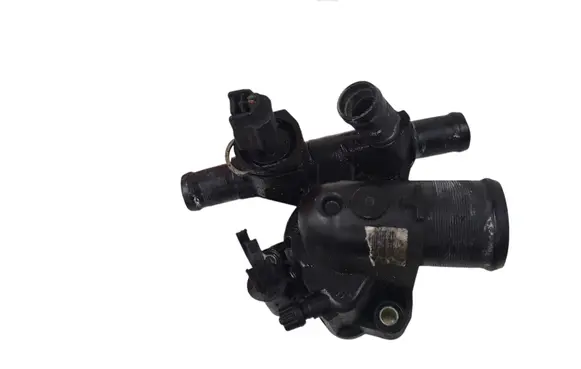 Thermostat/thermostat housing