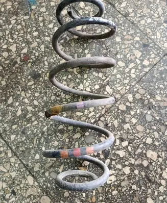 Rear coil spring