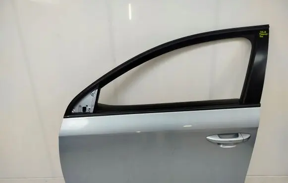 Volkswagen PASSAT B6 Front door 