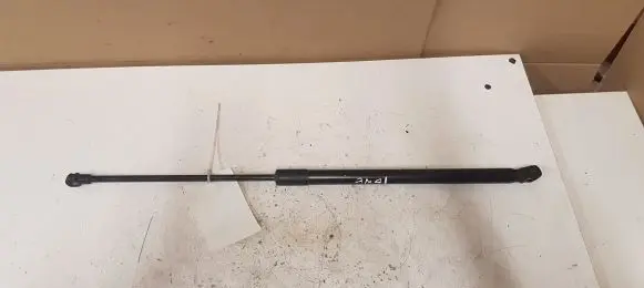 Tailgate strut