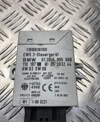 BMW 5 E39 Immobilizer control unit/module 61356905668 05393244 110187