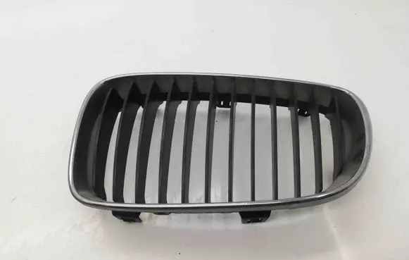 Front grill