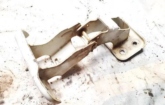 Fiat Scudo Rear door lower hinge
