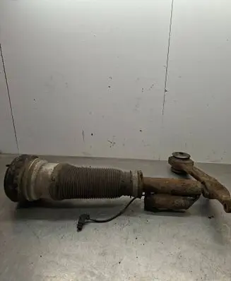 Mercedes-Benz S W220 Front shock absorber/damper c096053 A2203270092 c096053n6